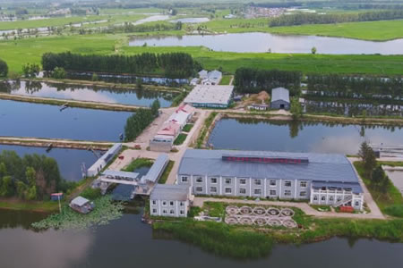 ؖ|Ы@ҵһr(nng)I(y)r(nng)岿ˮa(chn)B(yng)ֳF(xin)r(nng)I(y)Ƽԇ(yn)ʾءQ̖